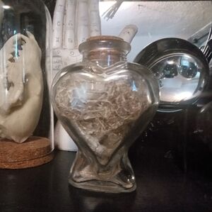 Rattlesnake skin in glass jar